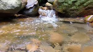 Vídeo hd com cachoeira em câmera lenta, floresta e lago, com sons da natureza e música. Musica Relaxante Com Som De Agua Corrente Youtube