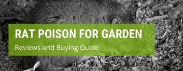 Maybe you would like to learn more about one of these? Which Is The Best Rat Poison For Garden Jack S Garden
