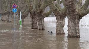 Das hochwasser im lande geht zurück. Hochwasser In Deutschland So Ist Die Lage An Rhein Main Und Nidder The Weather Channel Artikel Von The Weather Channel Weather Com