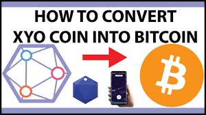 Some cryptocurrencies have better options for investment in 2020. How Do Convert Xyo Coins Into Bitcoin Youtube