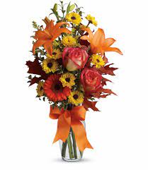 Maybe you would like to learn more about one of these? Burst Of Autumn In North Fort Myers Fl Fort Myers Blossom Shoppe And Gifts