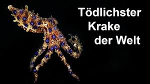 Krake is a master marksman with handguns and an expert close combat fighter. So Schnell Totet Dich Der Giftigste Tintenfisch Der Welt Youtube