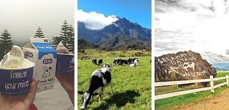 Sabah adalah sebuah negeri di wilayah borneo yang terkenal dengan tarikan pelancongan tersendiri. 57 Tempat Menarik Di Sabah Edisi 2021 Paling Popular Untuk Cuti