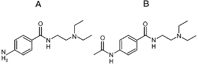 Image result for Procainamide