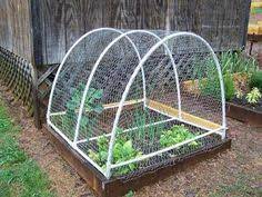 See more ideas about raised garden, garden, garden beds. 45 Raised Garden Covering Ideas Raised Garden Garden Garden Beds