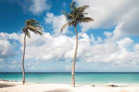 Isola caraibica per eccellenza, aruba è sinonimo di sole, mare e distese di sabbia finissima. Aruba E Il Paradiso Tropicale Rimasto Intatto