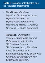 Parasitos Intestinales