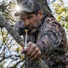 Have you ever seen a PRIDE of MOUNTAIN LIONS?? Caught