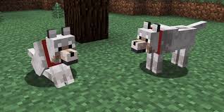 Originally a pc release, it has now been ported to the xbox one. How To Tame A Wolf In Minecraft Easy Pocket Edition And Xbox One Version Guide Tripboba Com