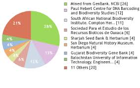 Image result for Boerhavia cordobensis