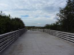 This is chapel trail nature preserve by omar s on vimeo, the home for high quality videos and the people who love them. Chapel Trail Nature Preserve Pembroke Pines Fl 003