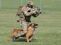 So Austrian Jagdkommando With A Camouflaged Aug A3 Military Dogs Military Working Dogs Dog Soldiers