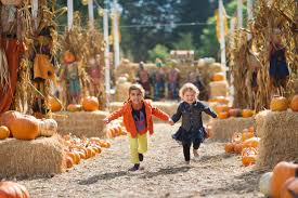 We did not find results for: 9 Great Pumpkin Patches Minnesota Parent