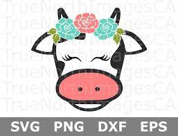 Free Free 162 Baby Cow Face Svg Free SVG PNG EPS DXF File