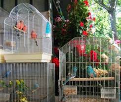 Marche Aux Fleurs Et Marche Aux Oiseaux Paris Marche Aux Fleurs Fleurs Vacances
