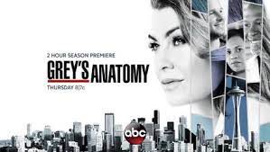 Vezi online serialul american anatomia lui grey sezonul 14 ep 9 online din data de 2019 14 hd subtitrat in limba romana. Anatomia Lui Grey Sezonul 16 Episodul 1 Online Greys Anatomy Anatomy Greys Anatomy Season