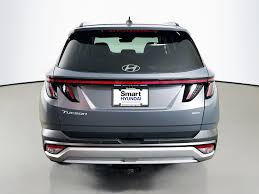 Image result for Ecotronic Gray 2025 Staria