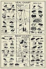 vintage butcher chart veal and beef meat by passionatekitsch