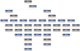 Corporation Org Chart Template