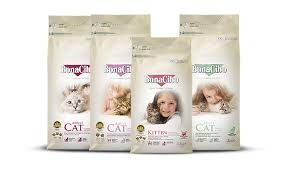 Bonacibo Probiotic Cat Bonacibo Turkiye