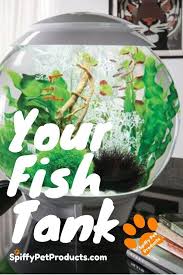 The Ultimate Guide To Modern Contemporary Fish Tanks With Big Style Spiffy Pet Products In 2020 Betta Fish Tank Betta Fish Fish Tank