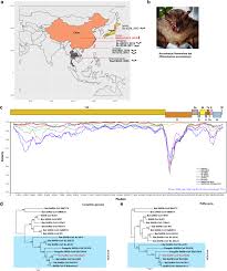 Similar fact evidence concerns circumstances in which an accused person's previous misconduct, other than that which gives rise to 6. Evidence For Sars Cov 2 Related Coronaviruses Circulating In Bats And Pangolins In Southeast Asia Nature Communications