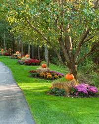 Halloween And Fall Decor Inspiration Fall Landscaping Fall Outdoor Autumn Garden