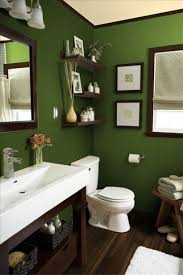 24 New Blue And Green Bathroom Decor In 2020 Green Bathroom Decor Bathroom Red Green Bathroom