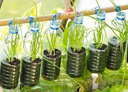 Indahnya berkebun dipekarangan rumah, setiap mau masak tinggal panen. Seputar Urban Farming Dan Cara Melakukannya Alodokter