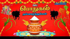 Pin On Thai Pongal