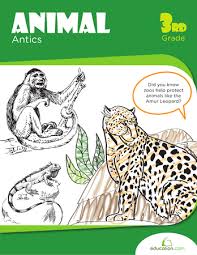 Animal Antics Workbook Education Com Animal Antics Education Com Reading Comprehension Skills