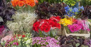 Check spelling or type a new query. Floral Care 101