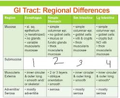 Histology Gi Regional Differences Chart Science