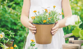 Decorative planter pot for plants, flowers, herbs, violets, succulents. The 7 Best Self Watering Planters Of 2021