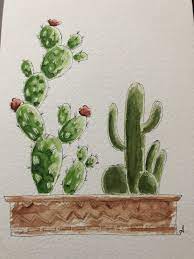 Suluboya Kaktus Watercolor Cactus Watercolor Art Lessons Cactus Art Watercolor Cactus
