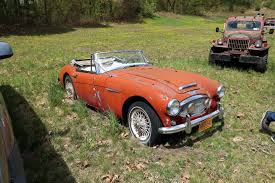 Image result for Jonquil 1963 Austin
