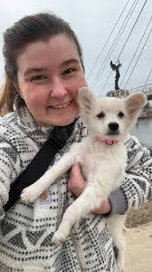 Briana Purcell's Instagram, Twitter & Facebook