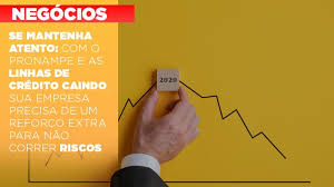 Entes federados podem comprar vacinas; Se Mantenha Atento Com O Pronampe E As Linhas De Credito Caindo Sua Empresa Precisa De Um Reforco Extra Para Nao Correr Riscos Triconecte