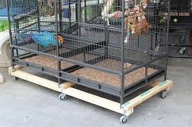 Bird Cage On Wheels Do You Break Bird Cage Wheels Frequently Bird Cage Cage Parrot Toys