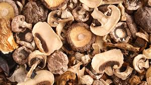 Yes, mushrooms can be cooked or roasted in a conventional oven. How To Substitute Dried Mushrooms For Fresh