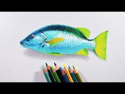A Demonstration Of How To Paint A Yellow Tulip With 3 Watercolour Markers For This Aquamarker Tutoria Color Pencil Drawing Colored Pencil Tutorial Prismacolor