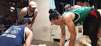 Catherine Mullooly sets new shearing record