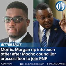 Criticism of Jamaican Government and Political Leaders