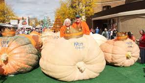 Image result for giant pumpkin