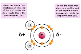 It is composed of one oxygen atom and two hydrogen atoms. Polar Vs Nonpolar Bonds Overview Examples Expii