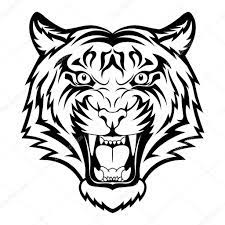 Roaring Tiger Head Drawing Tiger Face Stock Tiger Head Tattoo Tribal Tiger Tattoo Tribal Tiger