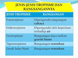Sains tingkatan 3 bab 1. Slide2 Ehforest