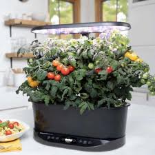 We did not find results for: Aerogarden Pods Review Must Read This Before Buying