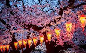 Cherry Blossoms In Japan 2020 Forecast The Dates Top 10 Best Places To See Cherry Blossoms In Japan Living Nomads Travel Tips Guides News Informat