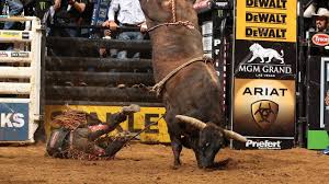 Chicago bulls‏подлинная учетная запись @chicagobulls 13 ч13 часов назад. One Of The Rankest Bulls To Ever Live Asteroid Youtube